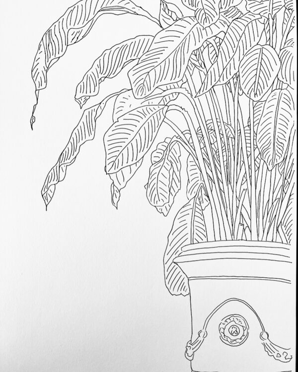 Private Art Session – Nature/Botanical Art (90 Minutes) – Bild 3