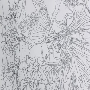 Private Art Lessons Private Art Session – Nature/Botanical Art (90 Minutes)