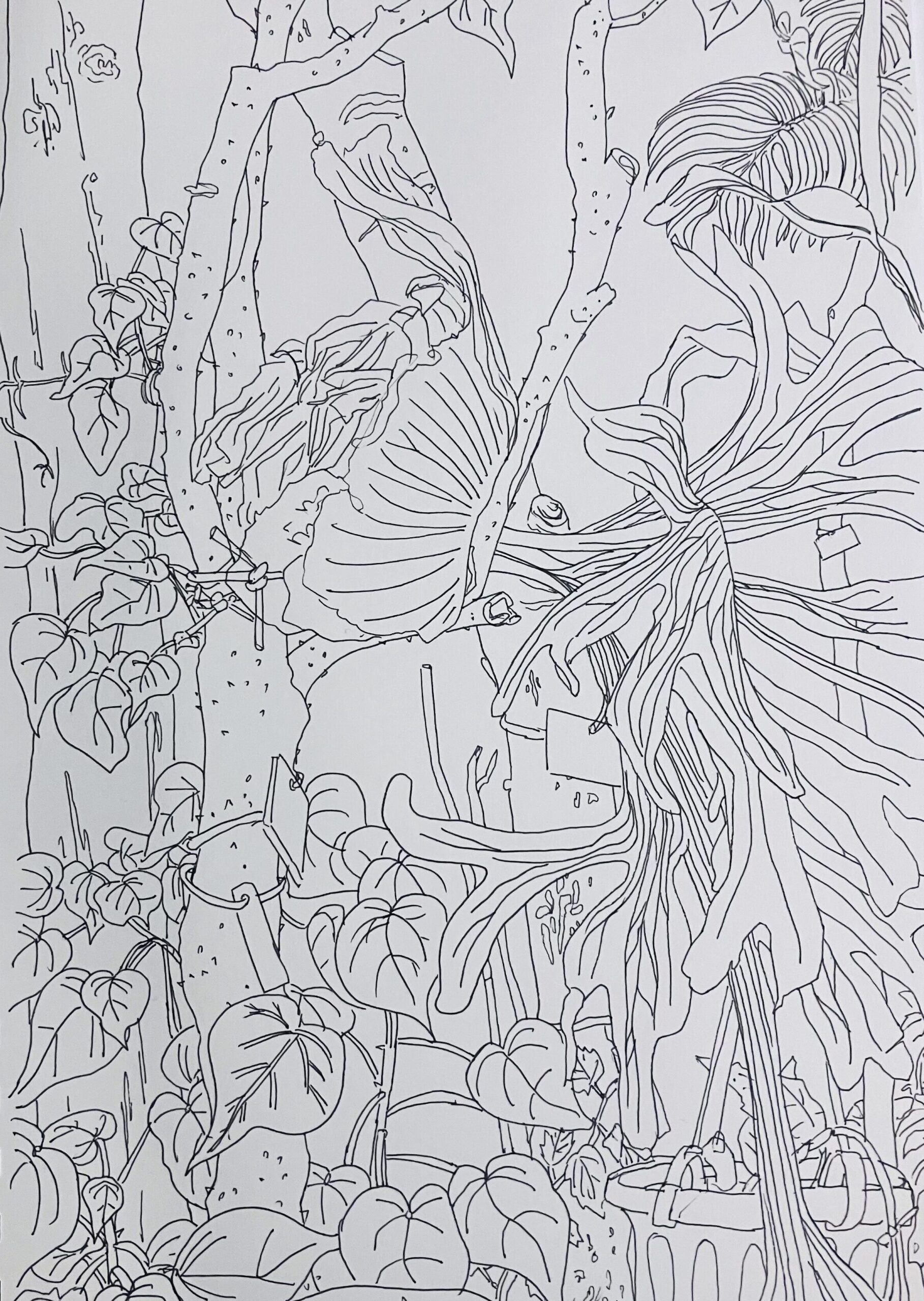 Private Art Session – Nature/Botanical Art (90 Minutes)