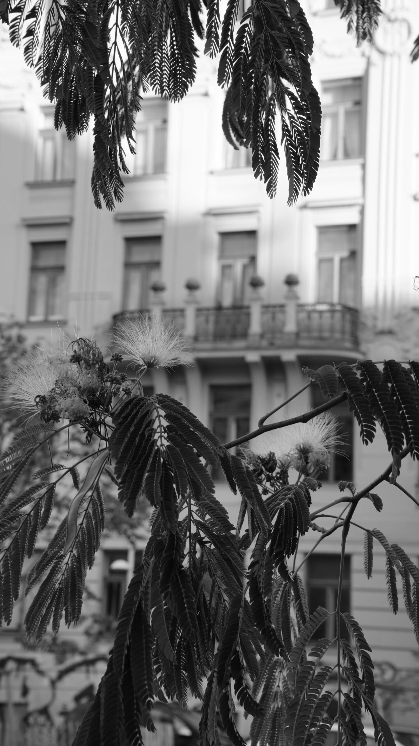 VIENNA // Urban Photography Workshop – Bild 9